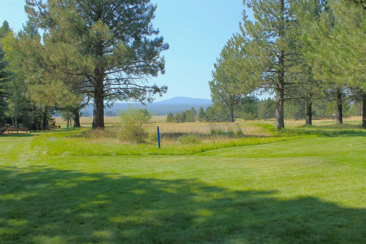 The image features an expansive grassy field dotted with tall pine trees and distant mountain views. It evokes a sense of tranquility and adventure, hinting at the variety of outdoor activities available beyond the property.